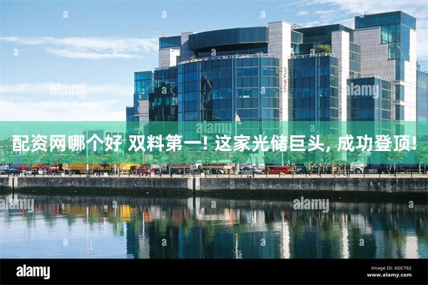 配资网哪个好 双料第一! 这家光储巨头, 成功登顶!