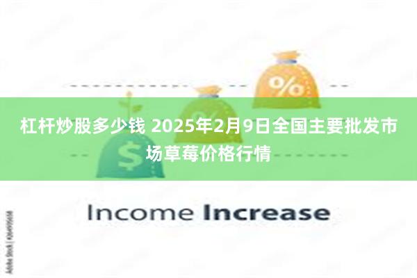 杠杆炒股多少钱 2025年2月9日全国主要批发市场草莓价格行情