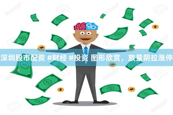 深圳股市配资 #财经 #投资 图形欣赏，放量阴拉涨停