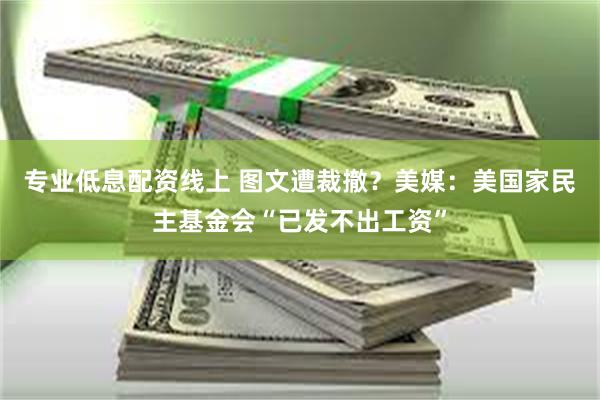 专业低息配资线上 图文遭裁撤？美媒：美国家民主基金会“已发不出工资”