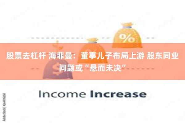 股票去杠杆 海菲曼：董事儿子布局上游 股东同业问题或“悬而未决”