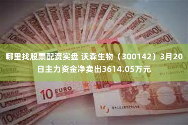哪里找股票配资实盘 沃森生物（300142）3月20日主力资金净卖出3614.05万元