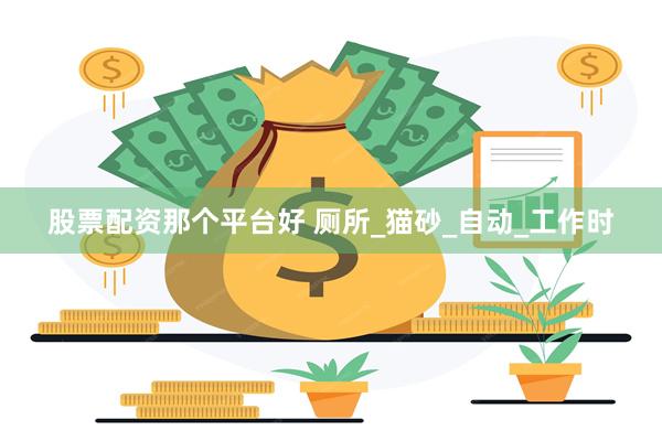 股票配资那个平台好 厕所_猫砂_自动_工作时