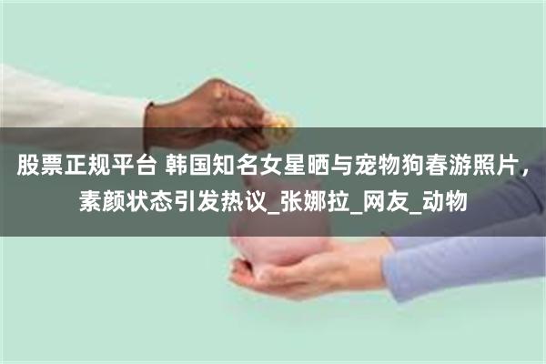 股票正规平台 韩国知名女星晒与宠物狗春游照片，素颜状态引发热议_张娜拉_网友_动物