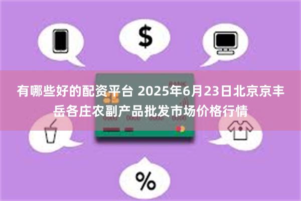有哪些好的配资平台 2025年6月23日北京京丰岳各庄农副产品批发市场价格行情