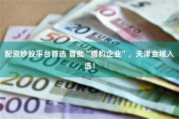 配资炒股平台首选 首批“猎豹企业”，天津金域入选！