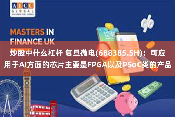 炒股中什么杠杆 复旦微电(688385.SH)：可应用于AI方面的芯片主要是FPGA以及PSoC类的产品
