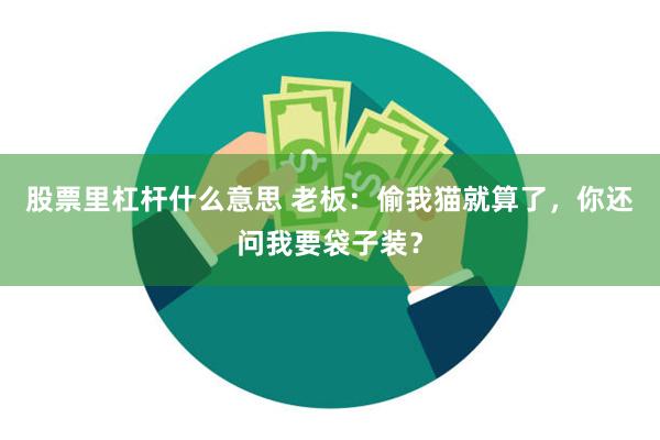 股票里杠杆什么意思 老板:偷我猫就算了,你还问我要袋子装?